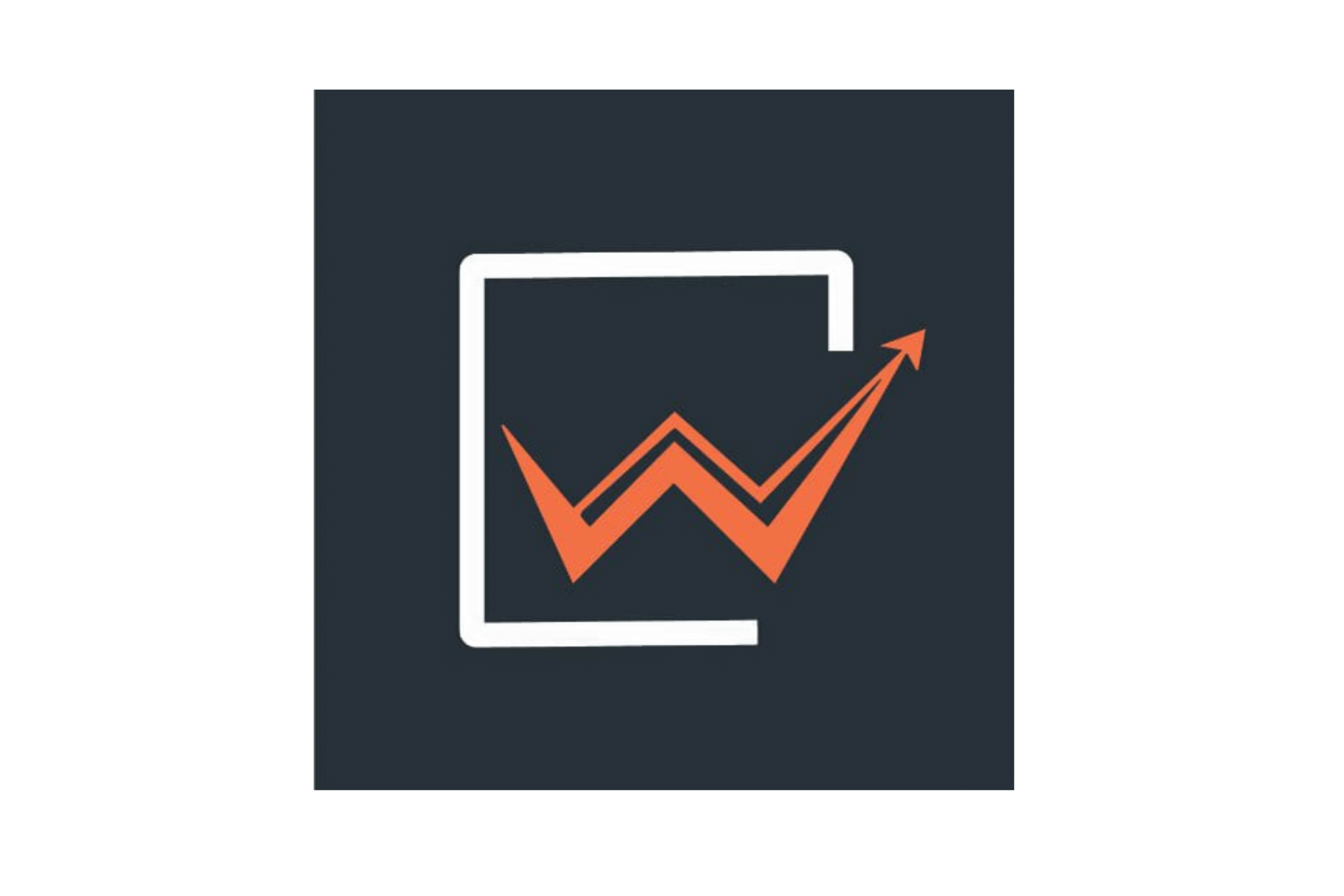 Statutory Audit (12)